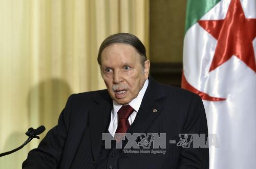 Algeria khẳng định Tổng thống Bouteflika vẫn khỏe mạnh ảnh 1